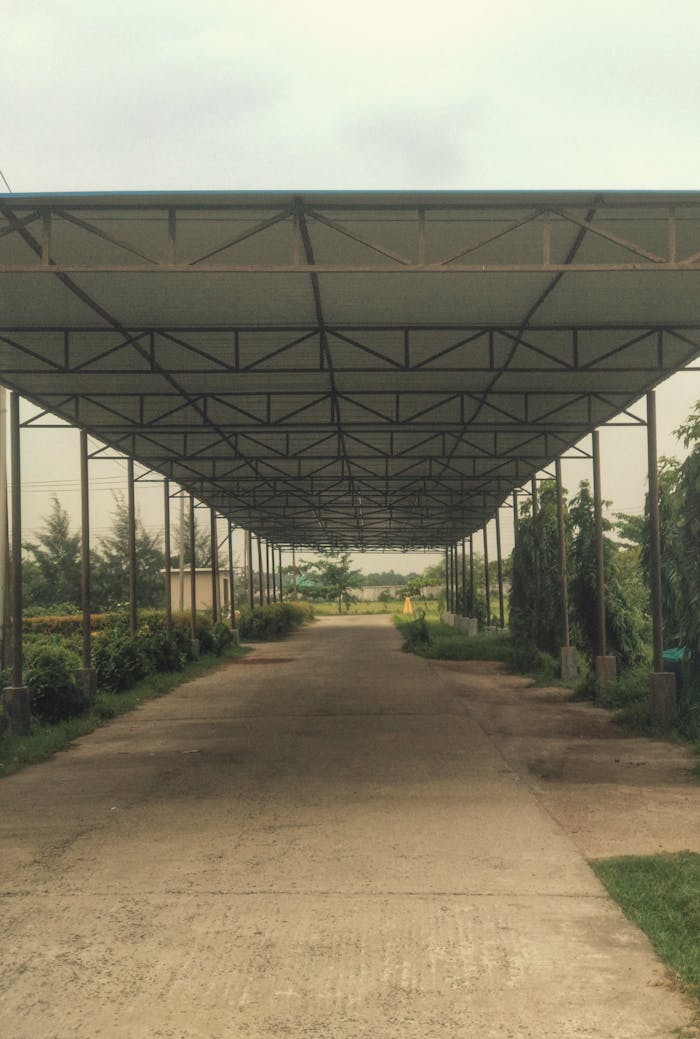 pexels photo 33874417.jpeg