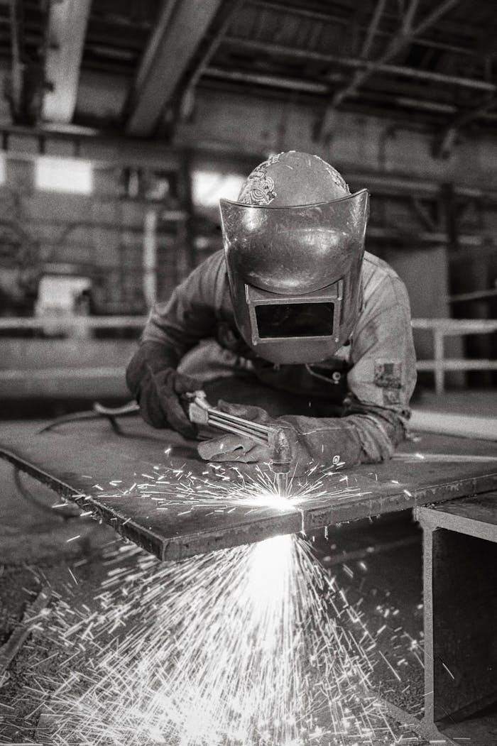 pexels photo 33940886.jpeg