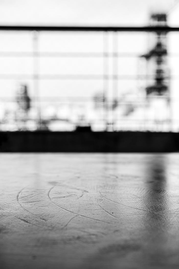 pexels photo 33944145.jpeg